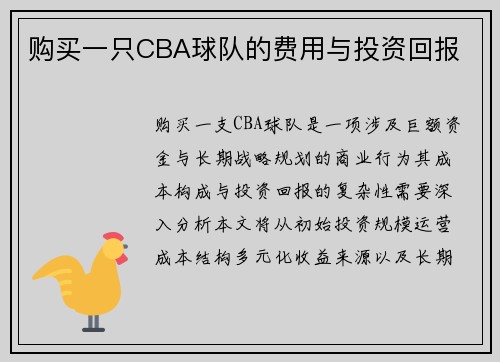购买一只CBA球队的费用与投资回报