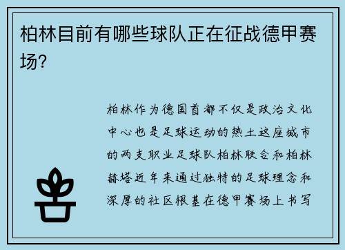 柏林目前有哪些球队正在征战德甲赛场？
